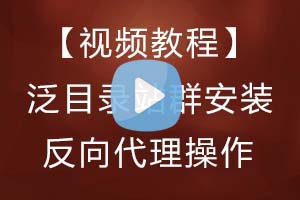 【视频教程】小旋风泛目录站群安装、反向代理操作教程