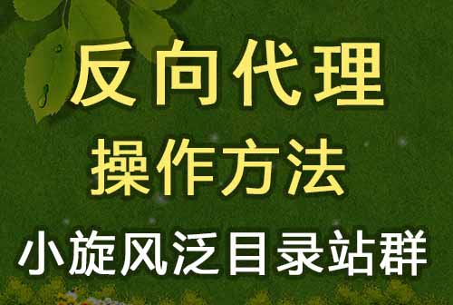 小旋风泛目录站群（apache、nginx、IIS）的反向代理设置方法